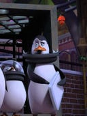 The Penguins of Madagascar, Season 1 Episode 3 image