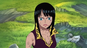 One Piece, Season 1 Episode 405 image