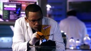 CSI: NY, Season 8 Episode 11 image