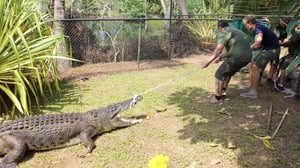 Bondi Vet, Season 5 Episode 10 image