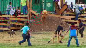 IRT: Deadliest Roads, Season 2 Episode 13 image