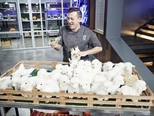 Cutthroat Kitchen, Season 13 Episode 5 image