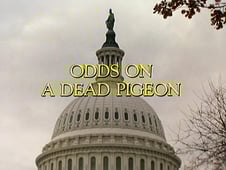 Scarecrow and Mrs. King, Season 2 Episode 17 image