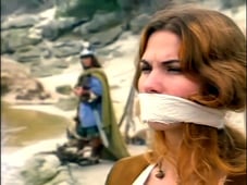 The Adventures of Sinbad, Season 1 Episode 8 image