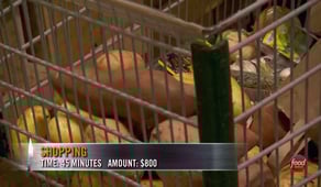 Top Chef, Season 14 Episode 9 image