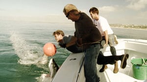 Shark Wranglers, Season 1 Episode 2 image