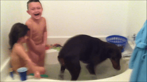 America's Funniest Home Videos, Season 23 Episode 15 image