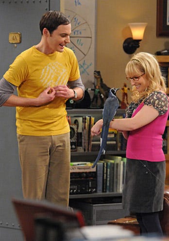 The Big Bang Theory - Season 5 - "The Ornithophobia Diffusion" - Jim Parsons, Melissa Rauch