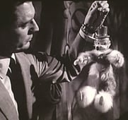 Peter Gunn, Season 1 Episode 19 image