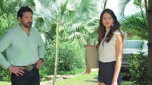 Undercover Law, Season 1 Episode 33 image