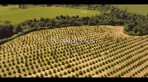 Signora Volpe, Season 1 Episode 1 image