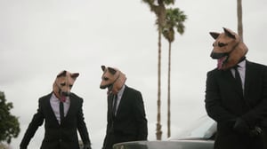 The Brokenwood Mysteries, Season 7 Episode 3 image