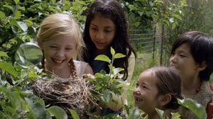 Jessie & the Gumboot Kids, Season 1 Episode 17 image