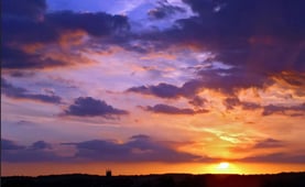 Mutant Weather, Season 1 Episode 6 image