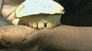 The Innocence Files, Season 1 Episode 1 image