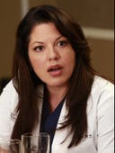 Grey's Anatomy, Season 9 Episode 17 image
