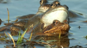 Journey with Dylan Dreyer, Season 2 Episode 15 image