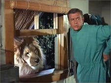 Daktari, Season 1 Episode 15 image