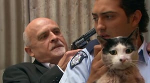 Blue Heelers, Season 12 Episode 20 image