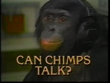 Horizon, Season 30 Episode 20 image