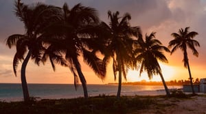 Still A Mystery, Season 3 Episode 7 image