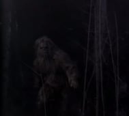 PSI Factor: Chronicles of the Paranormal, Season 2 Episode 21 image