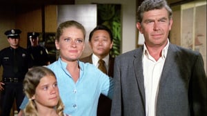 Hawaii Five-O, Season 5 Episode 13 image