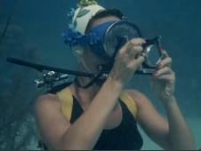 Flipper, Season 1 Episode 13 image