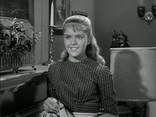 Leave It to Beaver, Season 4 Episode 23 image