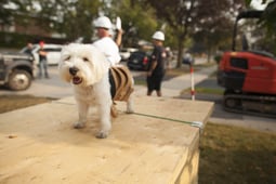 Holmes: The Next Generation, Season 1 Episode 2 image