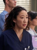 Grey's Anatomy, Season 9 Episode 11 image