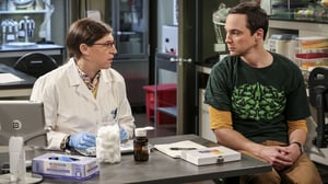 The Big Bang Theory, Season 10 Episode 8 image