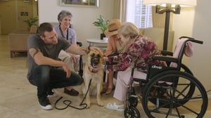 Lucky Dog, Season 6 Episode 19 image