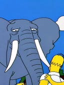 The Simpsons, Season 5 Episode 17 image