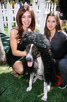 Playboy Playmates Vanessa Gleason and Kelly Monaco at Barq's on the Backlot Dog Show