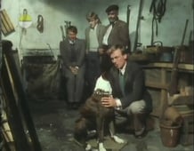 All Creatures Great & Small, Season 3 Episode 3 image