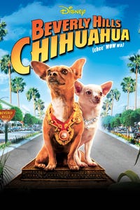 Beverly Hills Chihuahua as Rachel