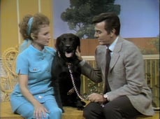 The Pet Set, Season 1 Episode 7 image