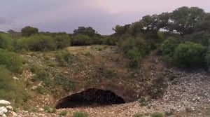 Wild South West, Season 1 Episode 1 image