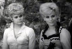 Wagon Train, Season 8 Episode 4 image