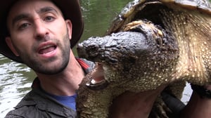 Brave Wilderness, Season 4 Episode 2 image