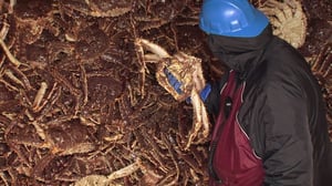 Deadliest Catch, Season 5 Episode 7 image