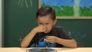 People vs. Food, Season 2 Episode 21 image