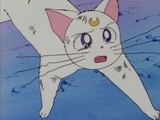 Sailor Moon, Season 2 Episode 5 image