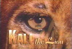 Nature, Season 10 Episode 3 image