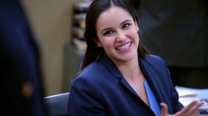 Brooklyn Nine-Nine, Season 3 Episode 18 image