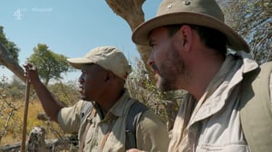 Walking with Elephants, Season 1 Episode 3 image