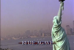 First Wave, Season 1 Episode 13 image