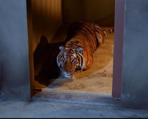 Batman, Season 1 Episode 19 image