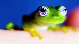 Brave Wilderness, Season 7 Episode 4 image